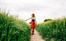 Girl Walking Through A Cornfield In A Bug Dress On A Windy Summer Day
