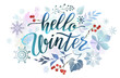 Hello winter banner with colorful leaves, snowflakes, berries and lettering inscription. Winter background.