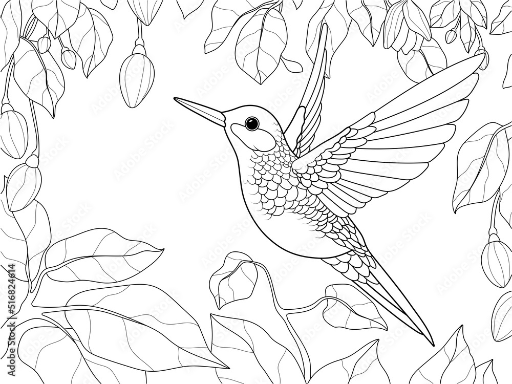 bird-hummingbird-in-a-blooming-garden-vector-page-for-printable-children-coloring-book-stock-vector-adobe-stock for Free Printable Pictures Of Hummingbirds Bird, hummingbird in a blooming garden. Vector, page for printable children coloring book. Stock Vector | Adobe Stock for Free Printable Pictures Of Hummingbirds