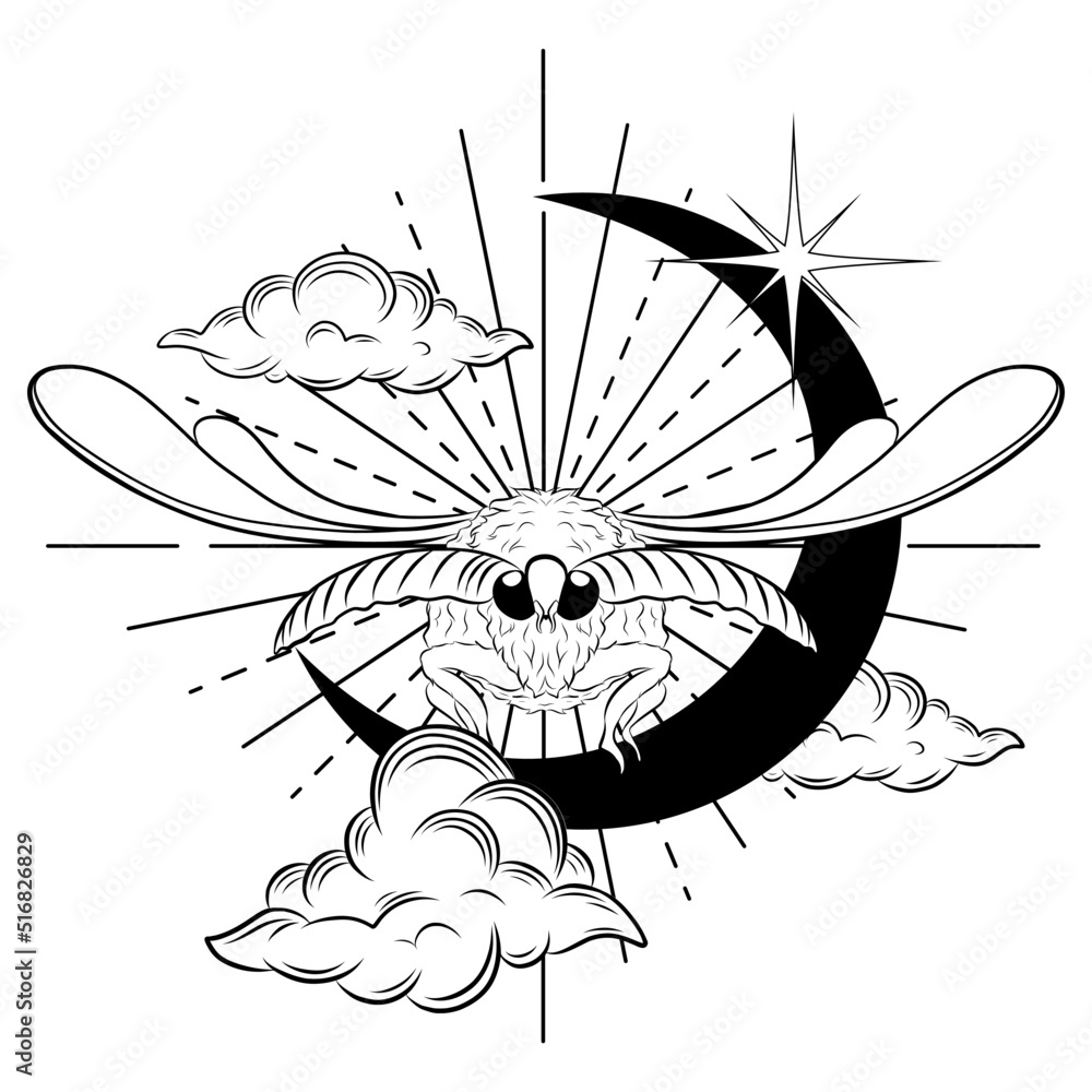Hand drawn moth with clouds, moon and stars. Mystical magic vector ...