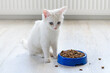 White little cat sits offendedly near a bowl of food. Food for little cats.