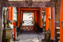 View Looking Down Stairs Through Torii Gates