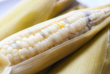 Ripe Corn Cobs Steamed Or Boiled For Food Vegan Dinner Or Snack, Waxy Corns Or Sweet Corn Cooked Background