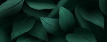 Luxury Dark Green Art Background With Tropical Leaves. Vector Botanical Banner For Print Design, Decor, Wallpaper, Interior Design.