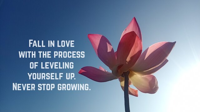 Wall Mural -  - Inspirational motivational quote - Fall in love with the process of leveling yourself up. Never stop growing. With pink lotus flower blossom on clear blue sky background with the light of the sun.