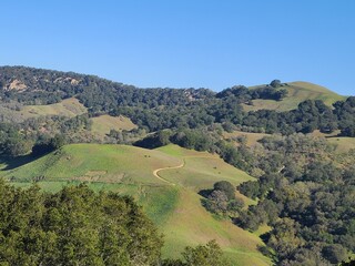 Poster - Greenery in the Diablo range after the rains of winter, Mt Diablo, California