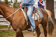 © Austockphoto - Close up of a man riding a stock horse at the showground