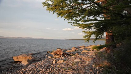 Wall Mural - Baikal Lake on a summer morning. A beautiful landscape with a rocky shore of the Small Sea and green larch tree at the golden hour at dawn. Natural background. Travel and recreation on the lake