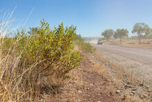 Car In Distance Driving Down Dusty Unsealed Road