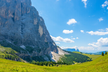 Wall Mural - Alp meadow at a mountain rock wall