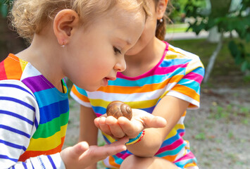 Wall Mural - The child looks at the snail. Selective focus.