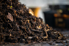 Compost Pile, Organic Thermophilic Compost Turning In Tasmania Australia 
