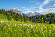Idyllic summer meadow with high mountains in the background, Unken, Pinzgau, Salzburger Land, Austria, Europe