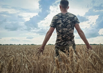 Soldier on wheat field. Ukraine freedom