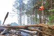 With the help of a drone, fire services are able to follow the fire into the forest trees in ecological disaster