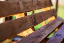 A Wooden Bench In A Green Park