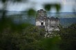 Beautiful shot of The Great Jaguar Tikal in Guatemala