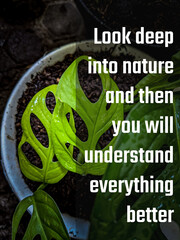 Inspirational motivational quotes on nature background