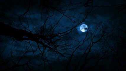 lightning stikes and moon above trees walking pov