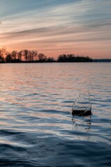 Sticker - A sunset in summer time, lake surrounded by trees, reflection of the sun on surface of the water