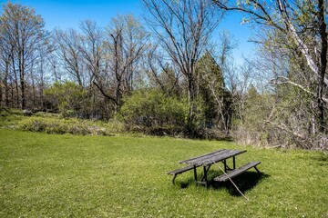 Canvas Print - Beautiful view of a wooden picnic bench on green lawn surrounded by trees in the forest at sunny day