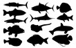 Images of various types of fish in silhouette format