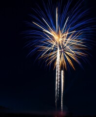 Poster - Colorful fireworks at the night sky perfect for background