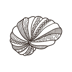 Wall Mural - Shell with ornament. Linear black and white illustration.