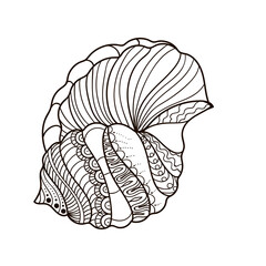 Canvas Print - Shell with ornament. Linear black and white illustration.