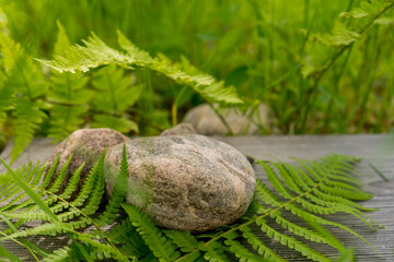 Minimal cosmetic background for product presentation. Cosmetic bottle podium and green leaf on gray color background. 