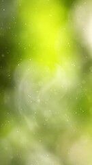 Canvas Print - abstract season green sunny bokeh looping copy space animation backgrounds. vertical video.