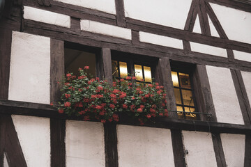 Wall Mural - window with flowers