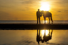 Silhouette Of Man And Horse Walking On The Beach At Sunset