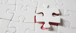© Pixel-Shot - Jigsaw puzzle on table, closeup