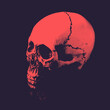 skull and crossbones half toned print