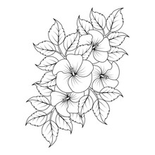 Hibiscus Flower Coloring Page Illustration With Line Art Stroke Of Black And White Hand Drawn
