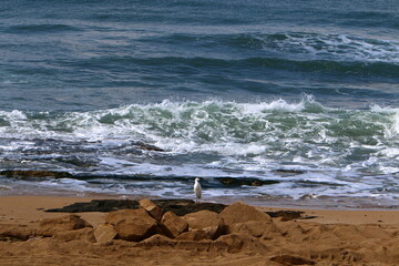 Mediterranean coast in northern Israel