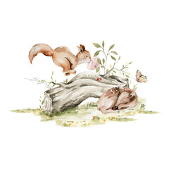 Watercolor nursery woodland composition with character. Hand painted cute baby animals in wild, forest summer landscape, tree, squirrel, deer, fawn. illustration for baby shower, kids print, wall art