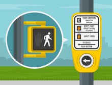 Pedestrian Safety Tips And Traffic Regulation Rules. How To Cross The Street. Street Crossing Instructions. Traffic Signal Controlled Pedestrian Facilities. Flat Vector Illustration Template.