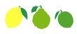 Vector Set of fruits  - a lemon, bergamot and a lime - colour icons on white background images