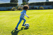 © wavebreak3 - Side view of biracial boy with afro hair running and kicking soccer ball on grassy field in yard