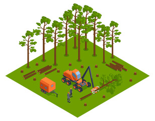 Isometric Deforestation Concept