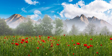 Field With Red Poppy Blooming On A Foggy Morning. Beautiful Countryside Summer Nature Scenery. High Tatra Mountain Ridge In The Distance. Clouds On The Blue Sky