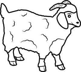Wall Mural - Angora Goat, farm animal. Vector illustration for eid ul adha.