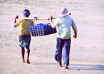 Two fishermen carrying a group of fish