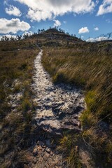 Wall Mural - Path through the grass towards mountain top in blue mountains of NSW