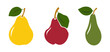 Vector Set of pears - three pear varieties - colorful icons on white background images.