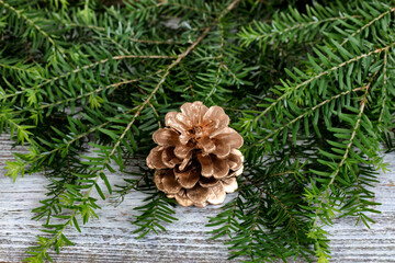 Canvas Print - Close up of a gold pinecone ornament with real fir branches on white rustic wood for the Christmas or New Year holiday background