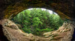Looking out onto woods from within, Old Man’s Cave is a large recess cavern in the side wall of a beautiful, sandstone canyon in scenic Hocking Hills State Park, Ohio.