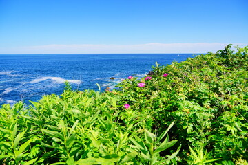 Atlantic ocean waves and Rocks along coastline in Portland, Maine, USA